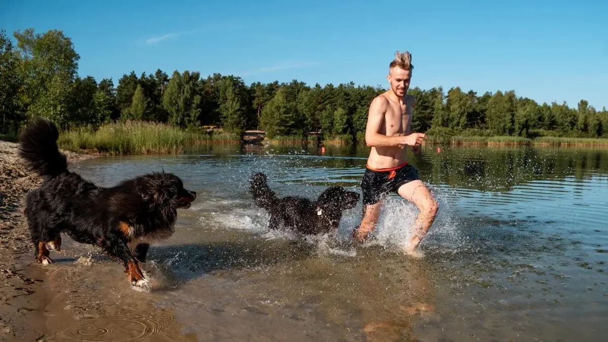 muž běží ve vodě se psi