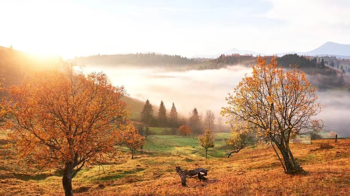 podzimní krajina, krásně barevné stromy a mlha nad údolím podzimní krajina, krásně barevné stromy a mlha nad údolím
