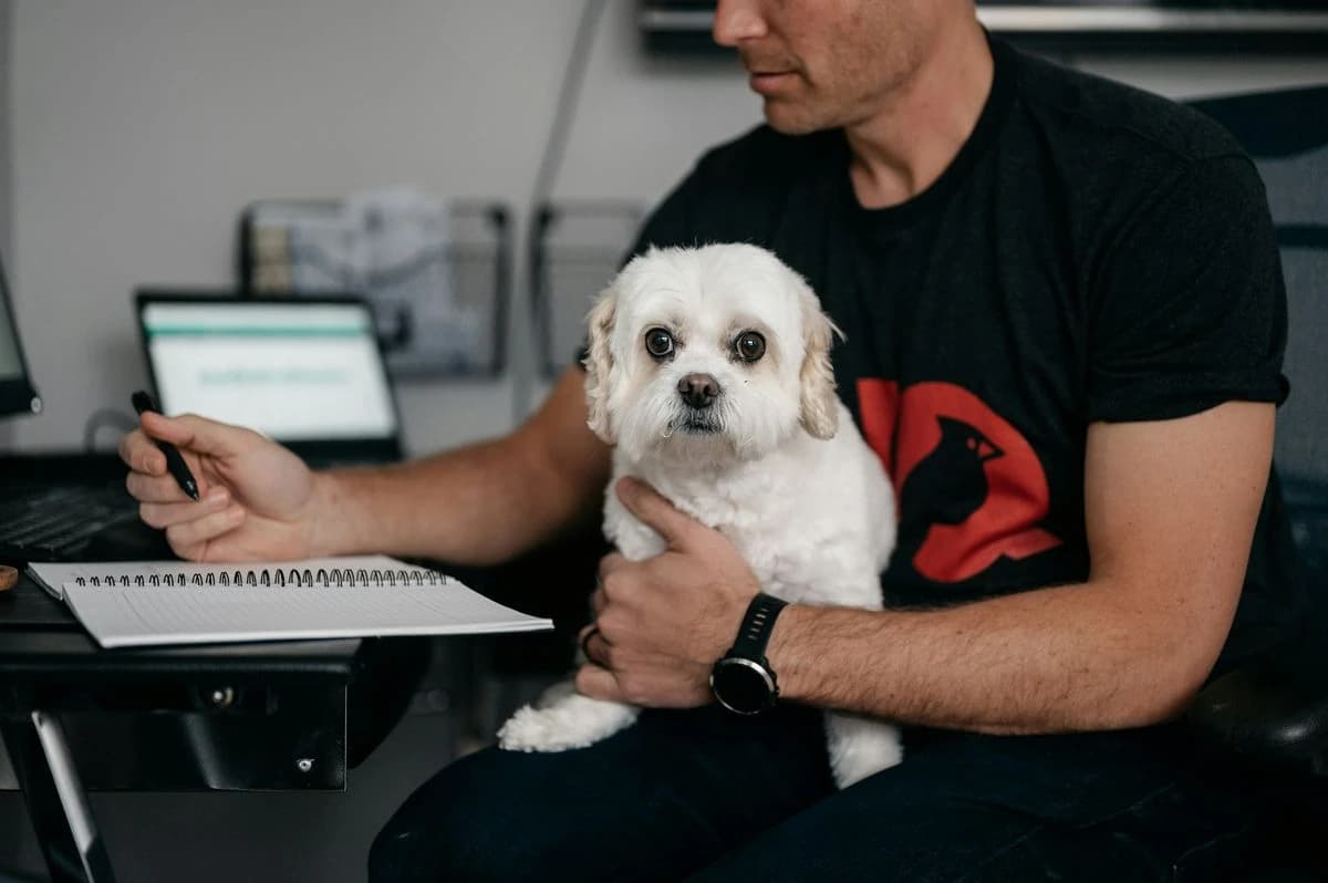 Malý bílý pejsek sedí majiteli na klíně u pracovního stolu s notesem a notebookem. Malý bílý pejsek sedí majiteli na klíně u pracovního stolu s notesem a notebookem.