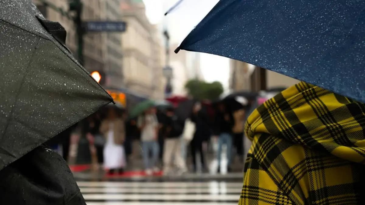 někdo na přechodu pro chodce v deštivém dni s deštníky někdo na přechodu pro chodce v deštivém dni s deštníky