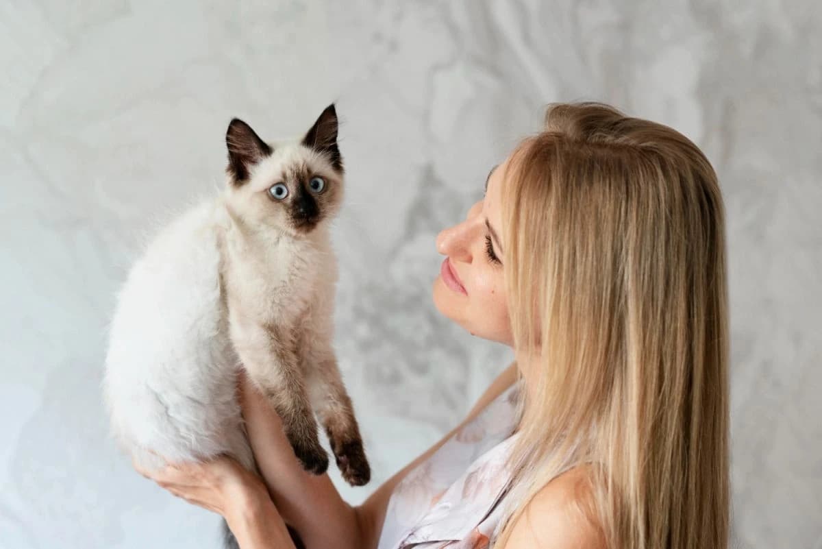 Blondýna drží v náručí siamské koťátko, které s vytřeštěným pohledem pozoruje okolí. Blondýna drží v náručí siamské koťátko, které s vytřeštěným pohledem pozoruje okolí.